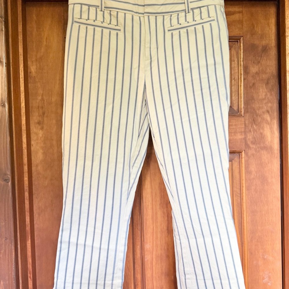 Anthropologie Essential Slim Cream and Blue Striped Trousers